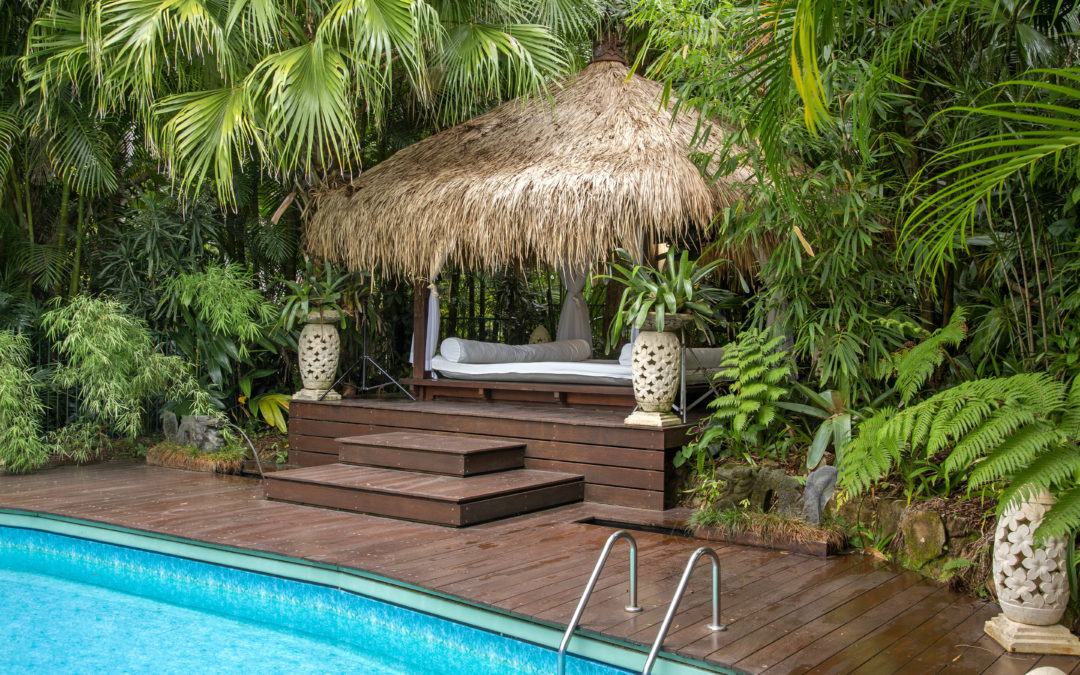 tropical Oasis in your own backyard