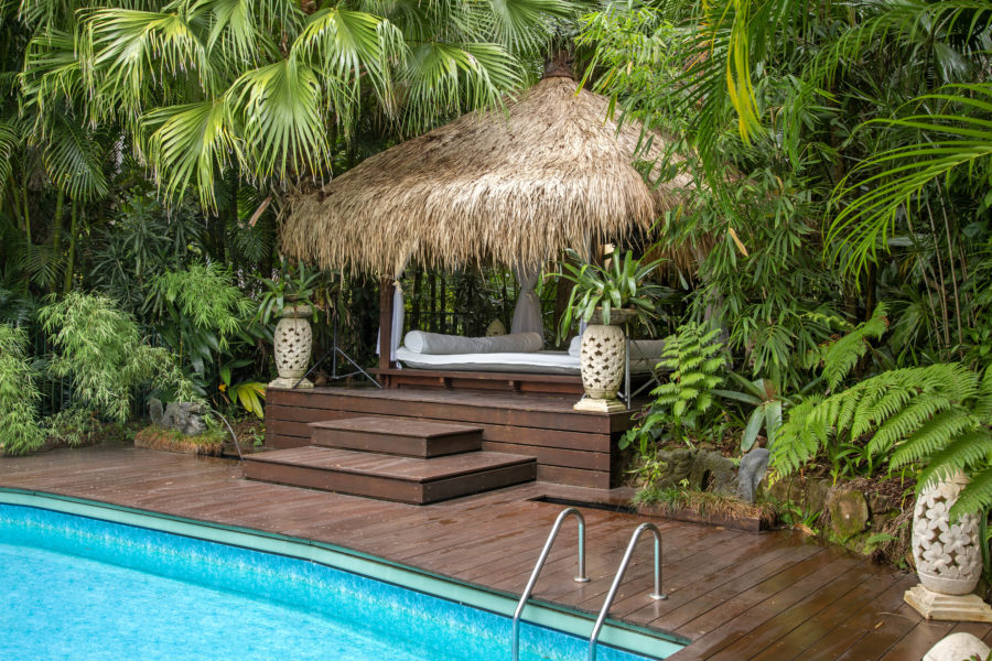 How to Transform Your Yard into a Tropical Oasis