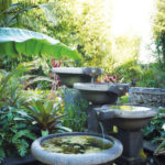 Top Trends in Backyard Landscaping: From Decking to Water Features