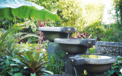 Top Trends in Backyard Landscaping: From Decking to Water Features