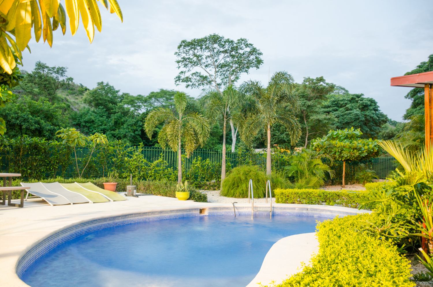 Surround Your Pool with a Beautiful and Lush Garden