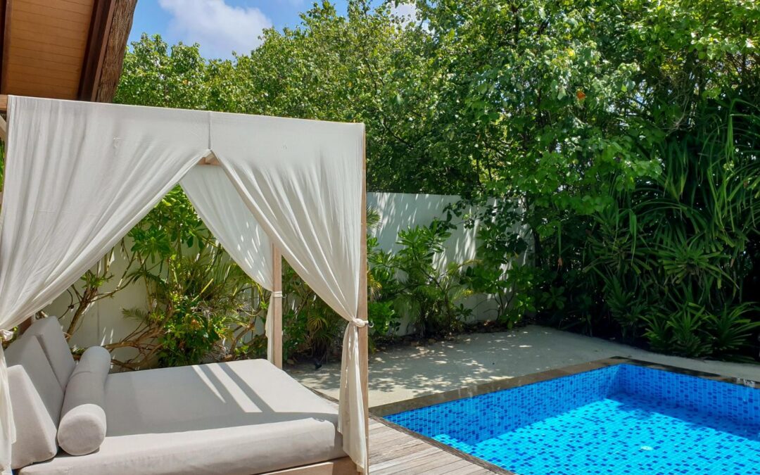 A luxurious outdoor day bed with white canopy curtains situated on a timber deck next to a bright blue swimming pool and tropical greenery.